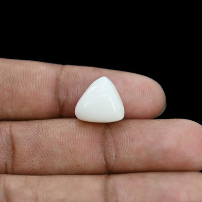 Japani White Coral 11.21 Carat