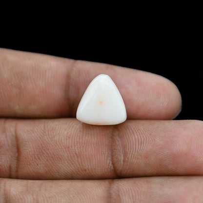 Japani White Coral 11.21 Carat