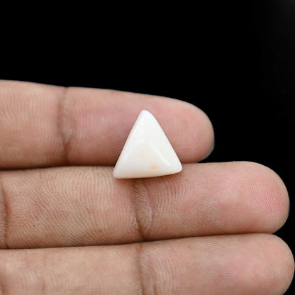 Japani White Coral 8.05 Carat