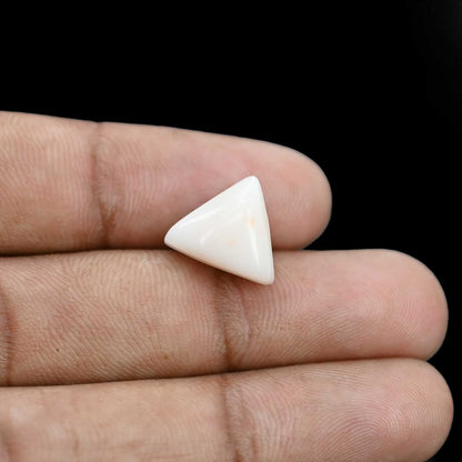Japani White Coral 8.05 Carat