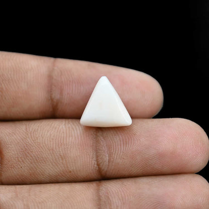 Japani White Coral 8.05 Carat