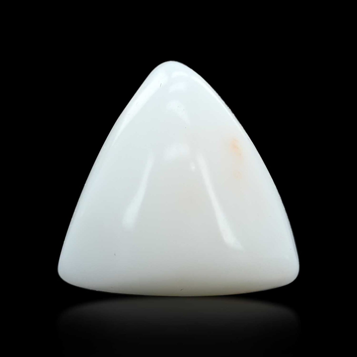 Japani White Coral 7.98 Carat