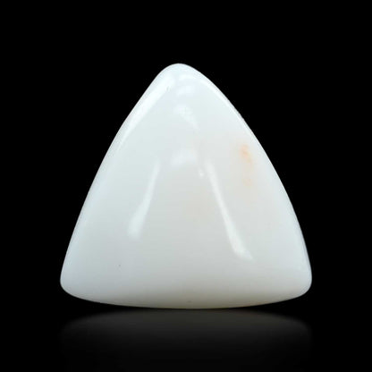 Japani White Coral 7.98 Carat