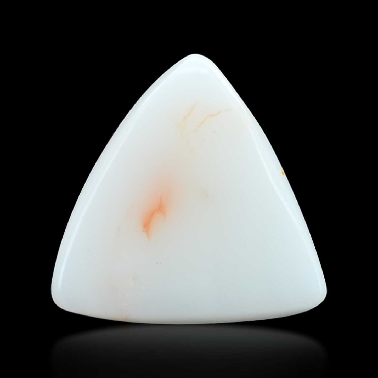 Japani White Coral 7.98 Carat