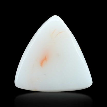 Japani White Coral 7.98 Carat
