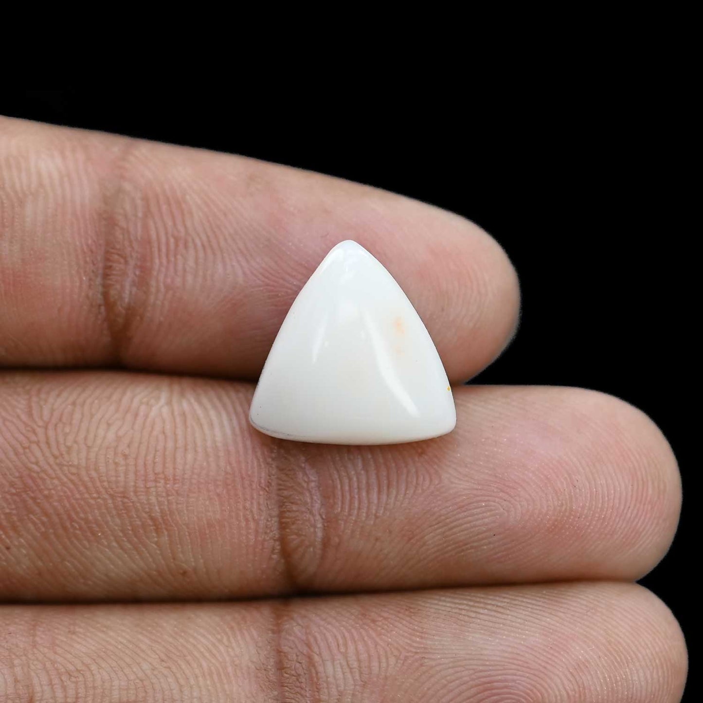 Japani White Coral 7.98 Carat