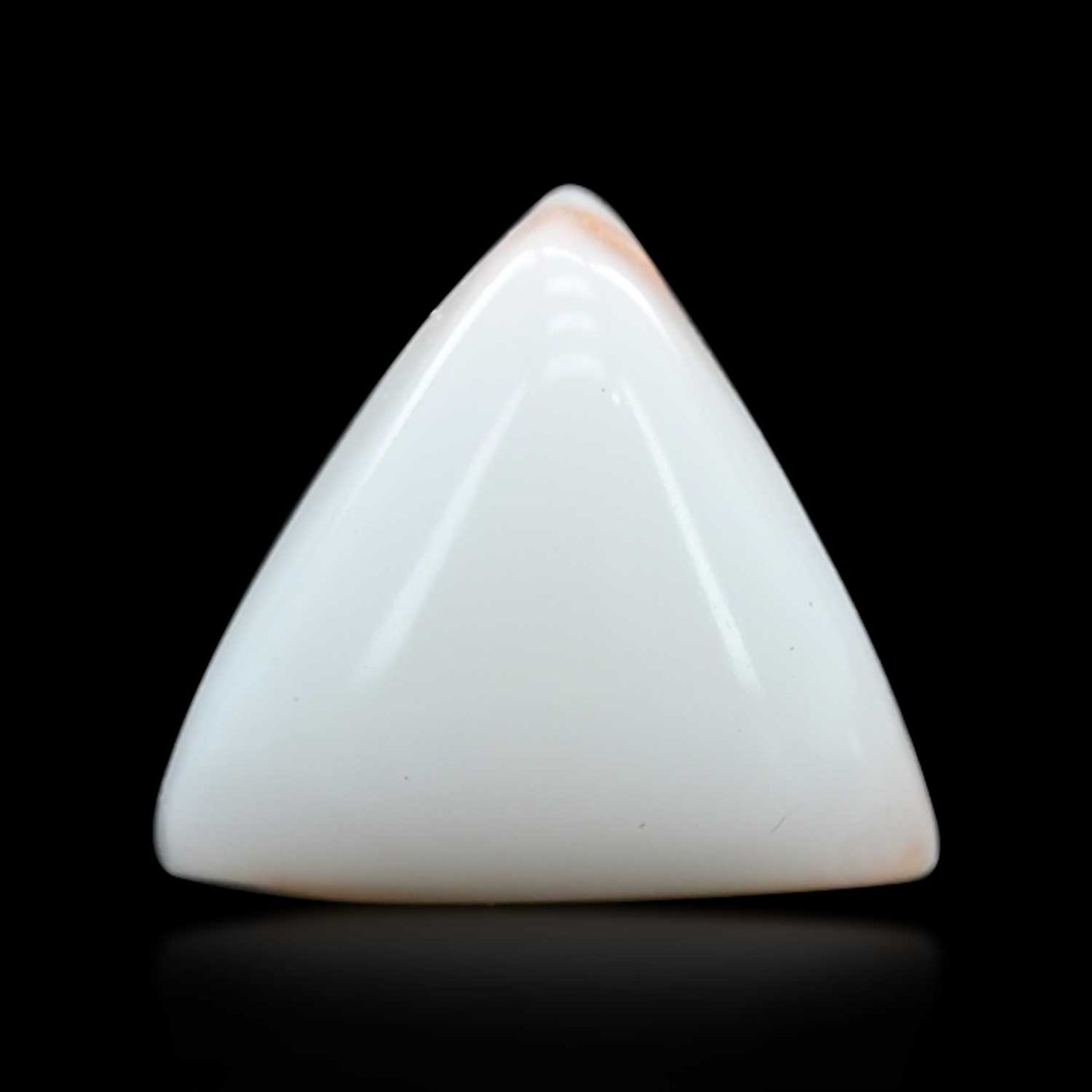 Japani White Coral 7.11 Carat