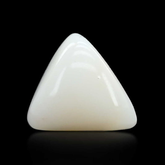 Japani White Coral 8.87 Carat
