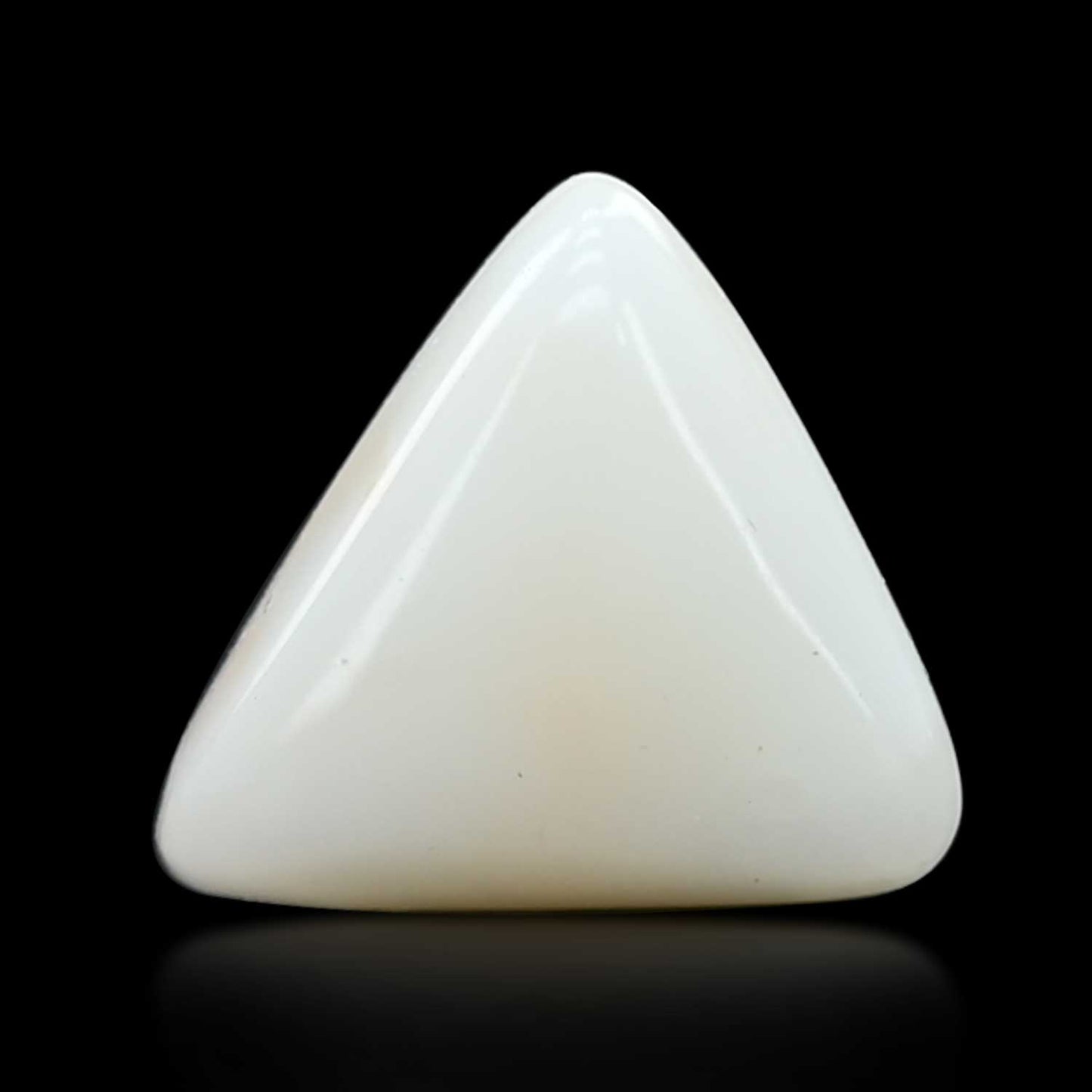 Japani White Coral 8.87 Carat