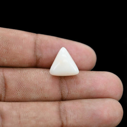 Japani White Coral 8.87 Carat