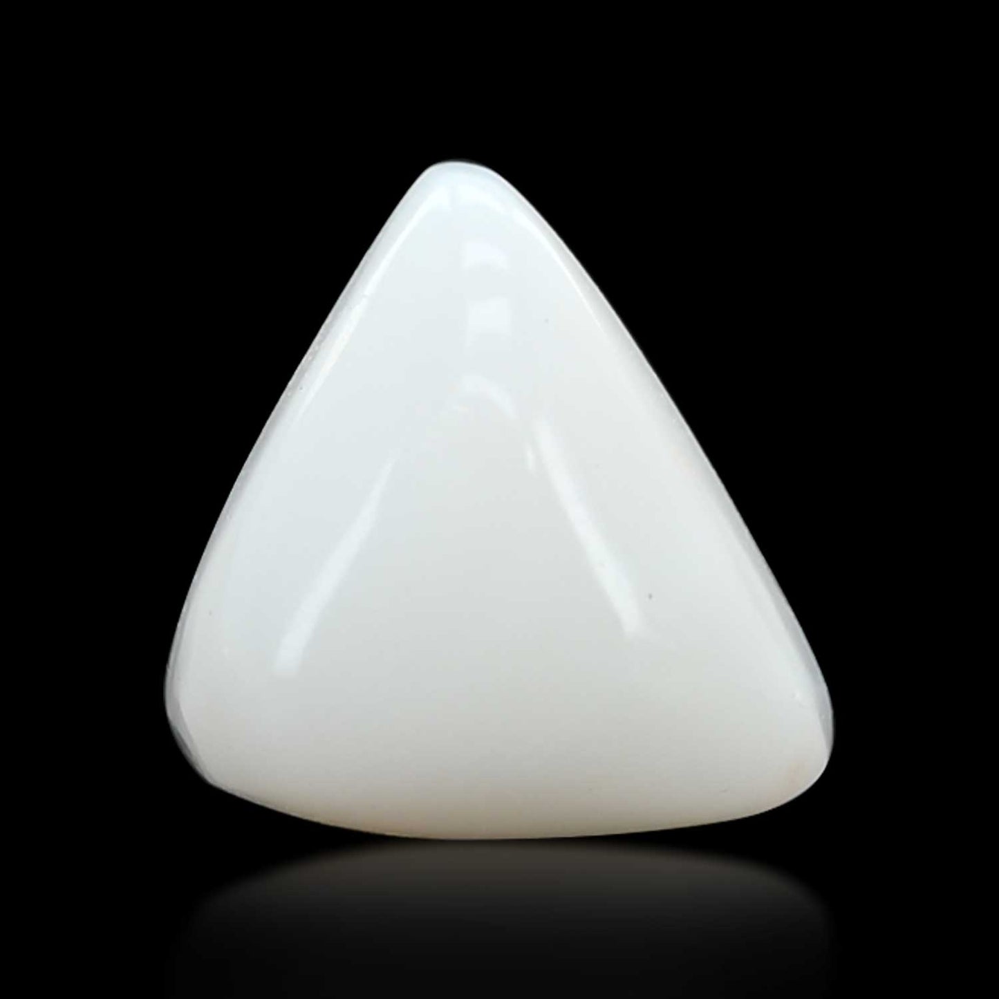 Japani White Coral 6.78 Carat