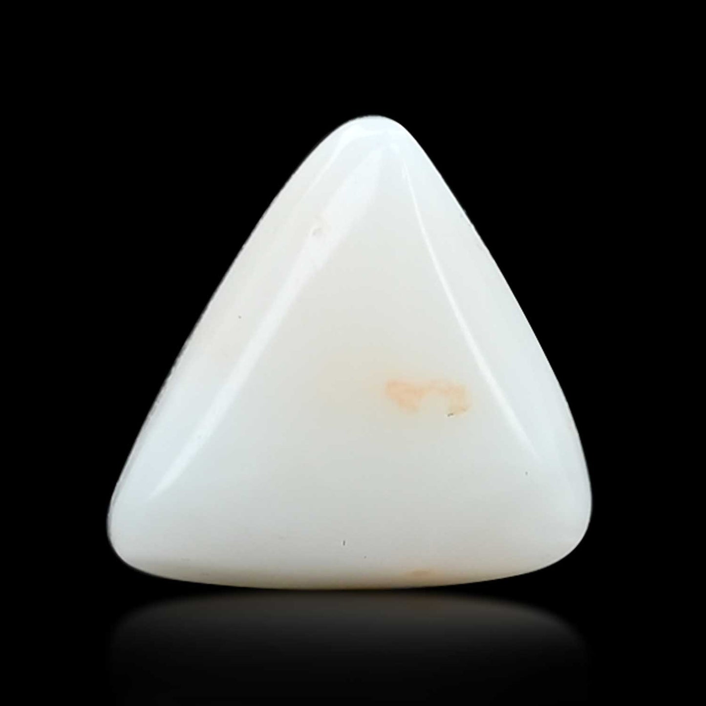 Japani White Coral 6.78 Carat