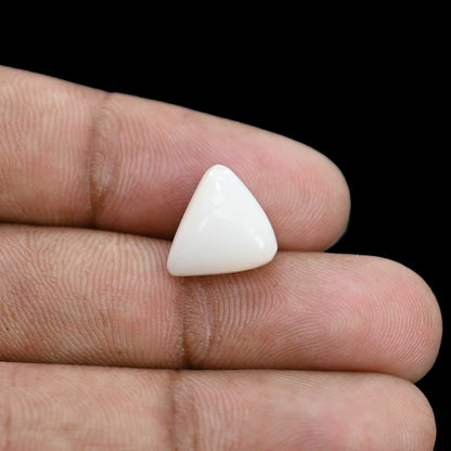 Japani White Coral 6.78 Carat