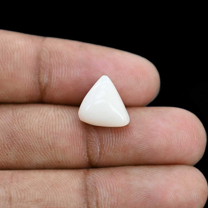 Japani White Coral 6.78 Carat