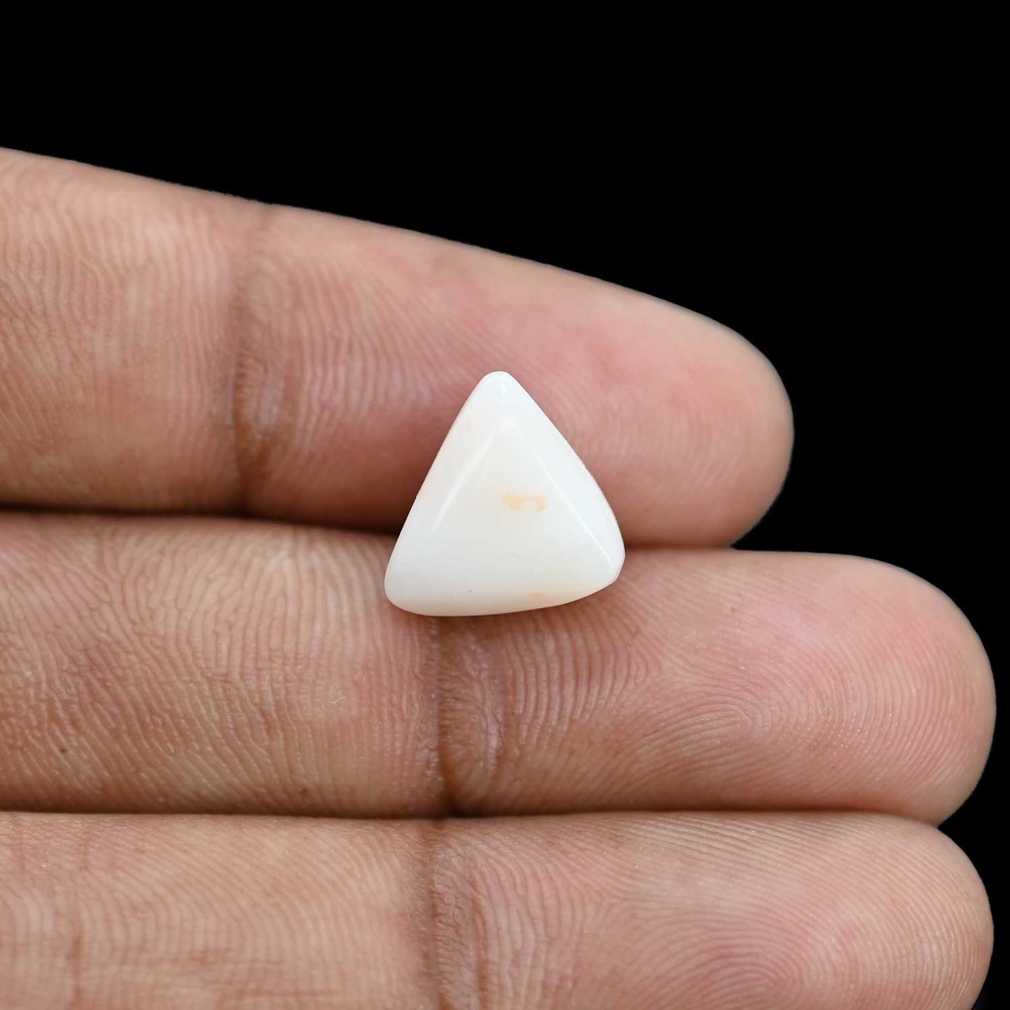 Japani White Coral 6.78 Carat