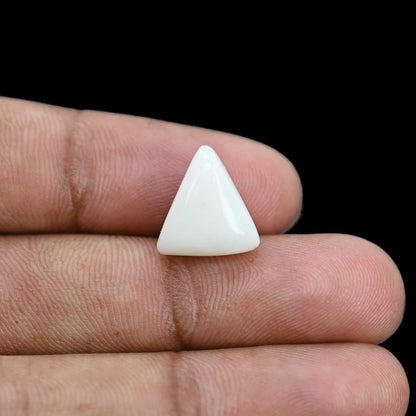 Japani White Coral 7.19 Carat