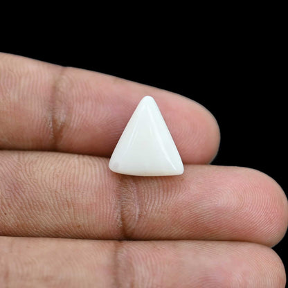 Japani White Coral 7.19 Carat