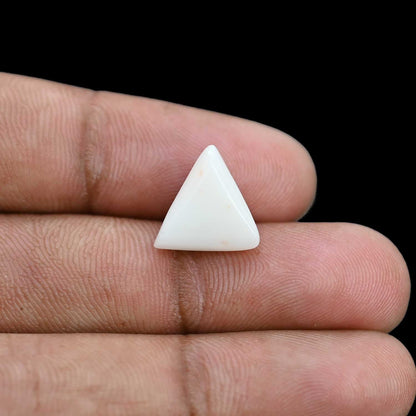 Japani White Coral 6.13 Carat
