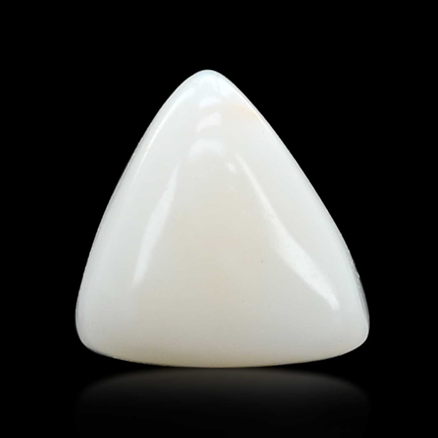 Japani White Coral 6.26 Carat