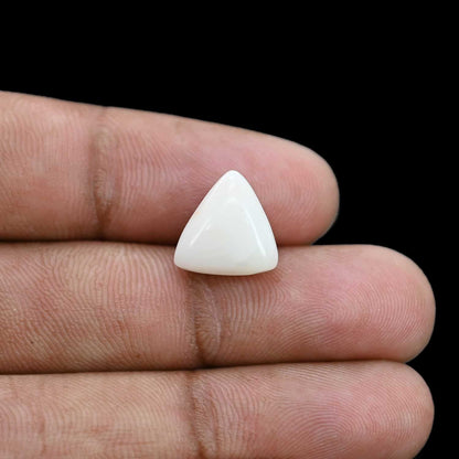 Japani White Coral 6.26 Carat
