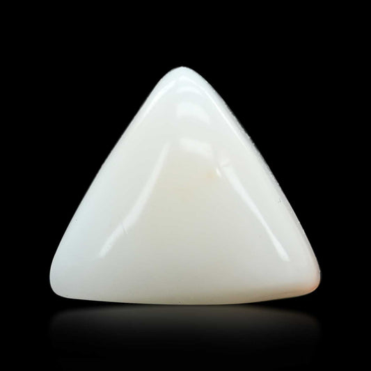 Japani White Coral 6.47 Carat