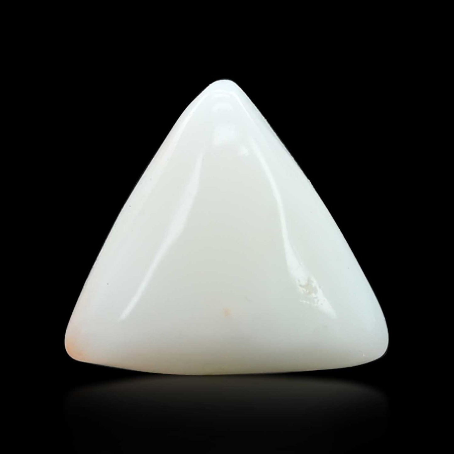 Japani White Coral 6.47 Carat