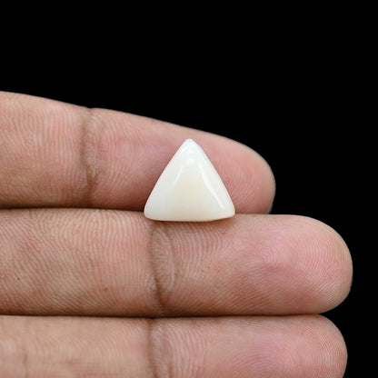 Japani White Coral 6.47 Carat