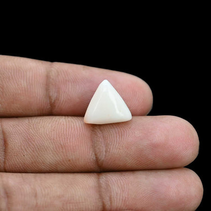 Japani White Coral 6.47 Carat