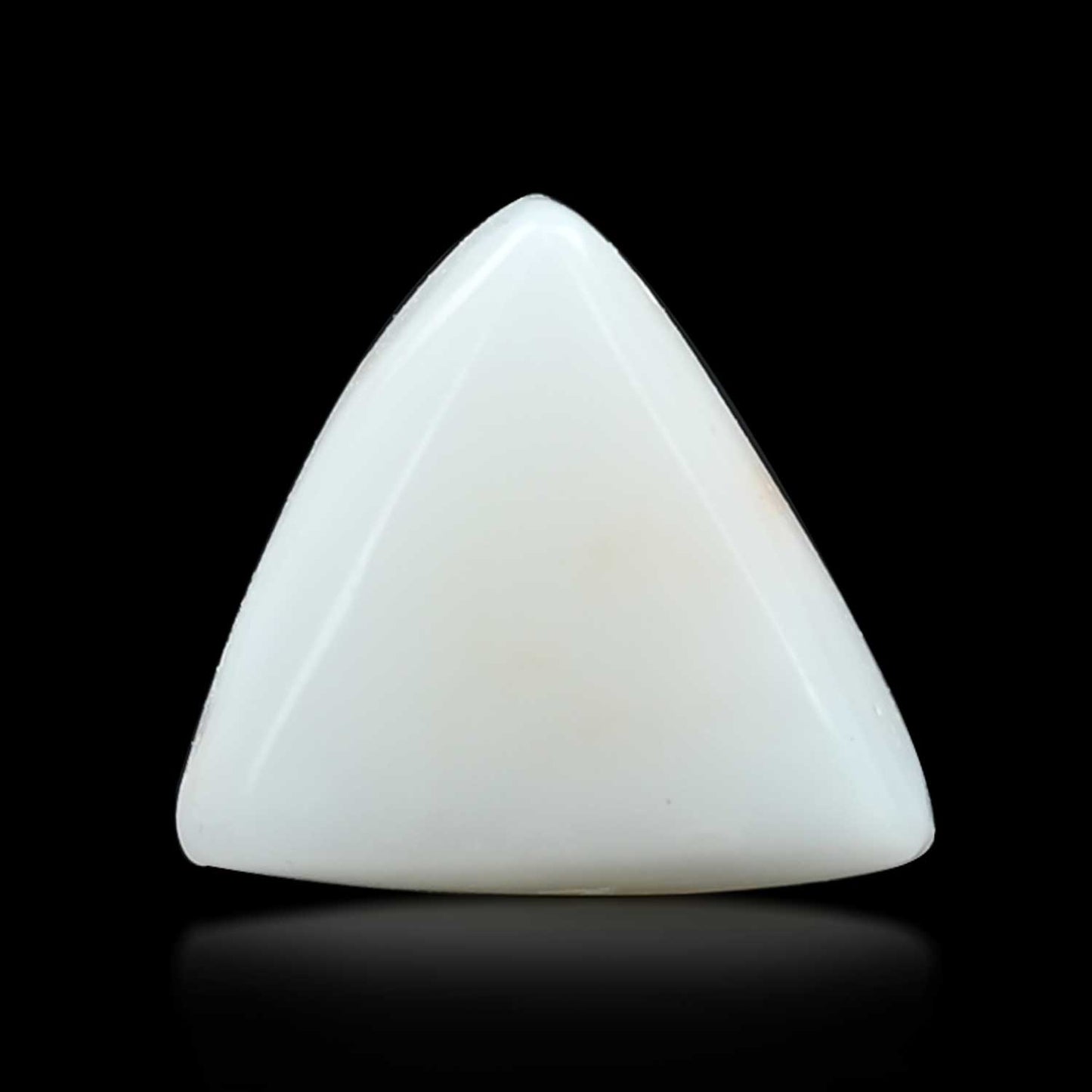 Japani White Coral 6.65 Carat
