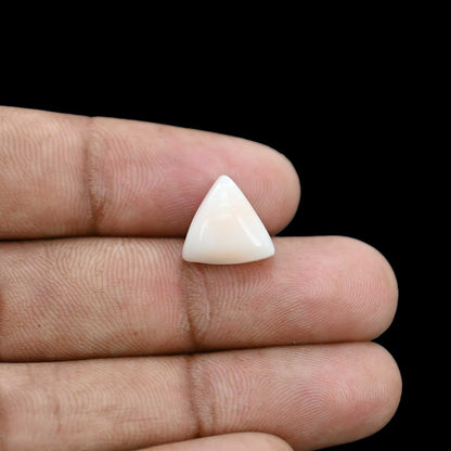 Japani White Coral 6.65 Carat
