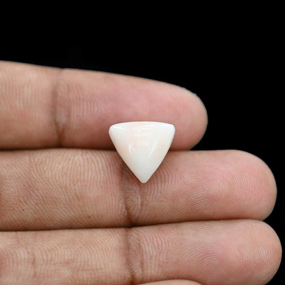Japani White Coral 6.65 Carat