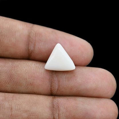 Japani White Coral 5.95 Carat