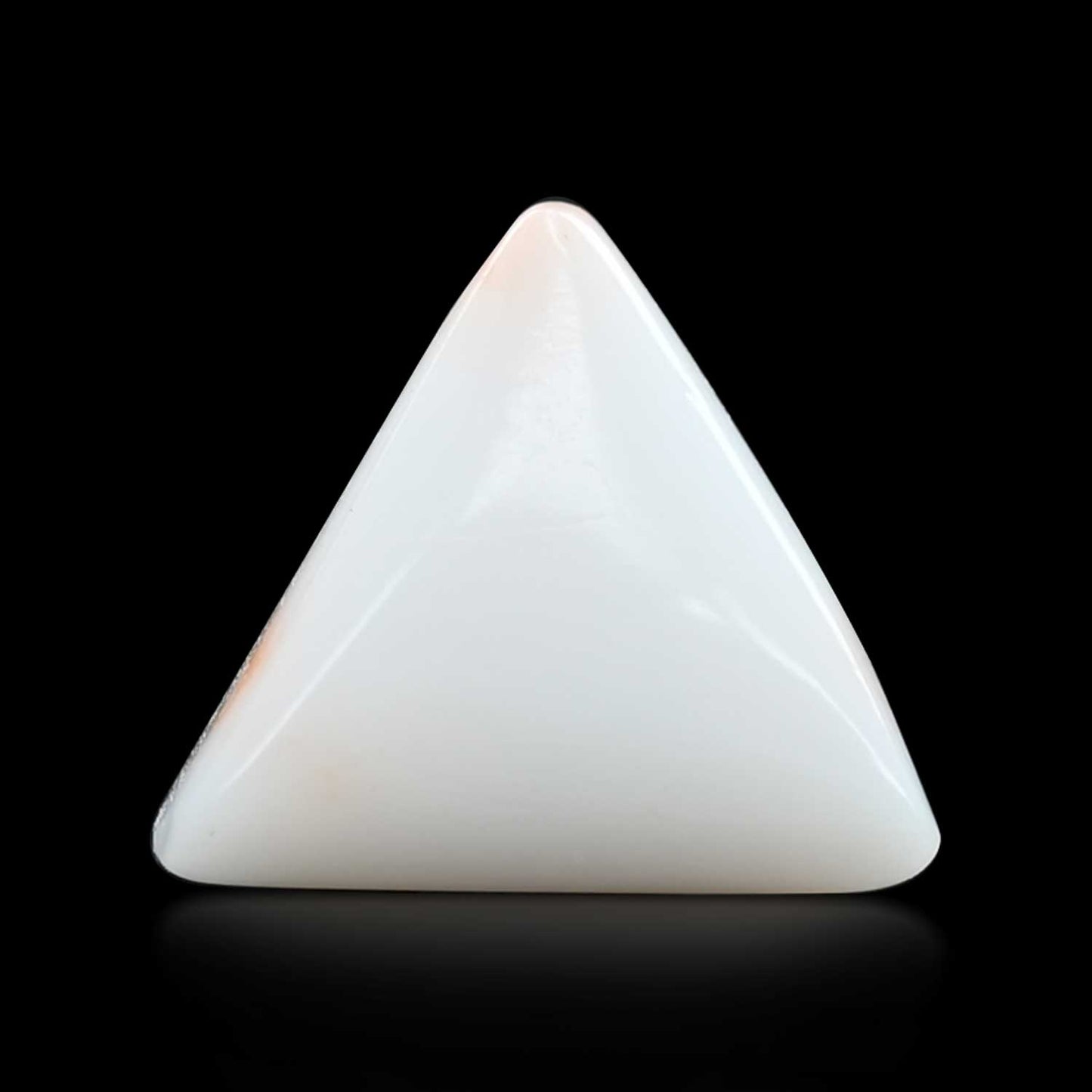 Japani White Coral 6.43 Carat