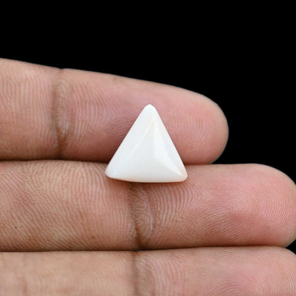 Japani White Coral 6.43 Carat