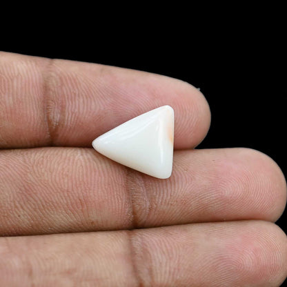 Japani White Coral 6.53 Carat