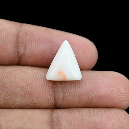 Japani White Coral 6.53 Carat