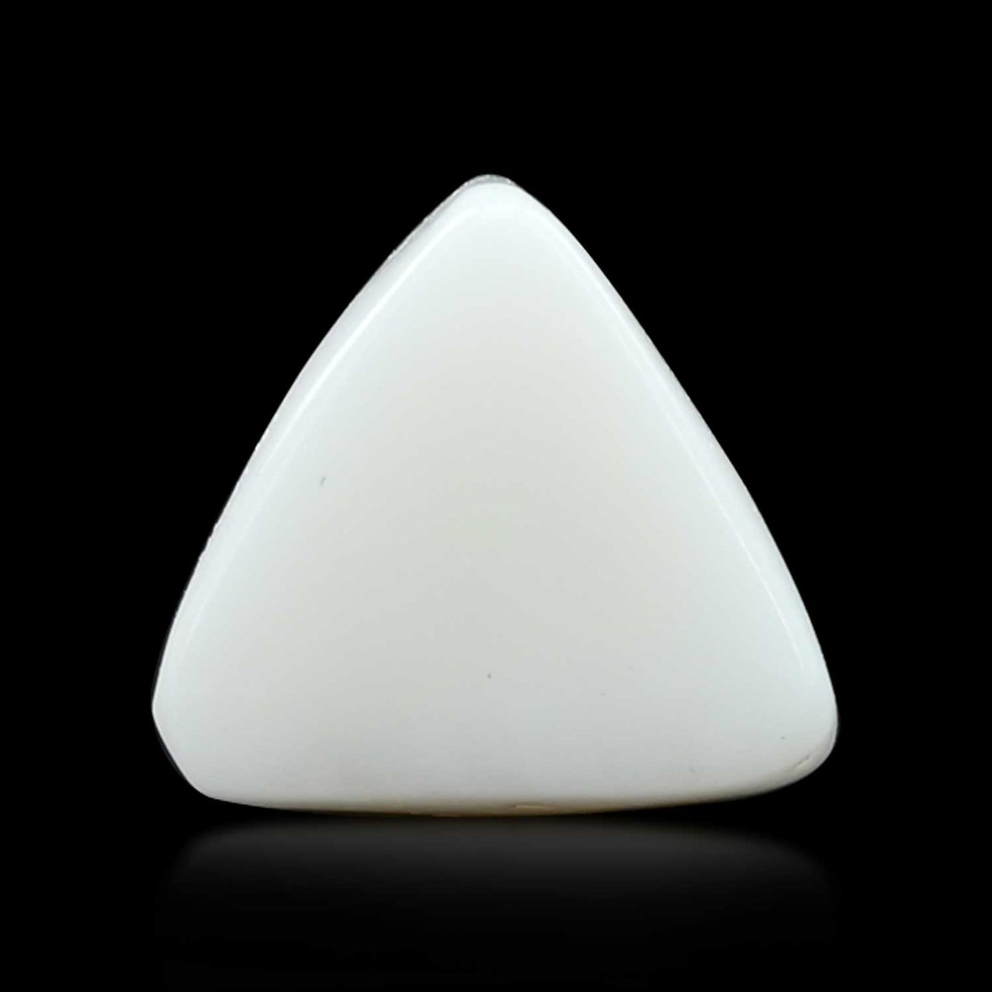 Japani White Coral 6.66 Carat