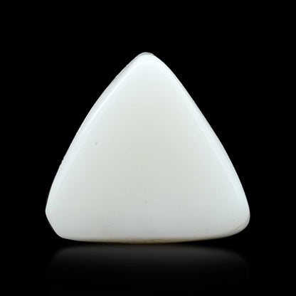 Japani White Coral 6.66 Carat
