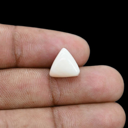 Japani White Coral 6.66 Carat
