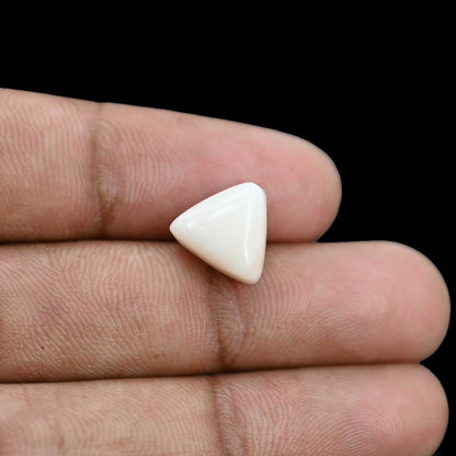 Japani White Coral 6.66 Carat