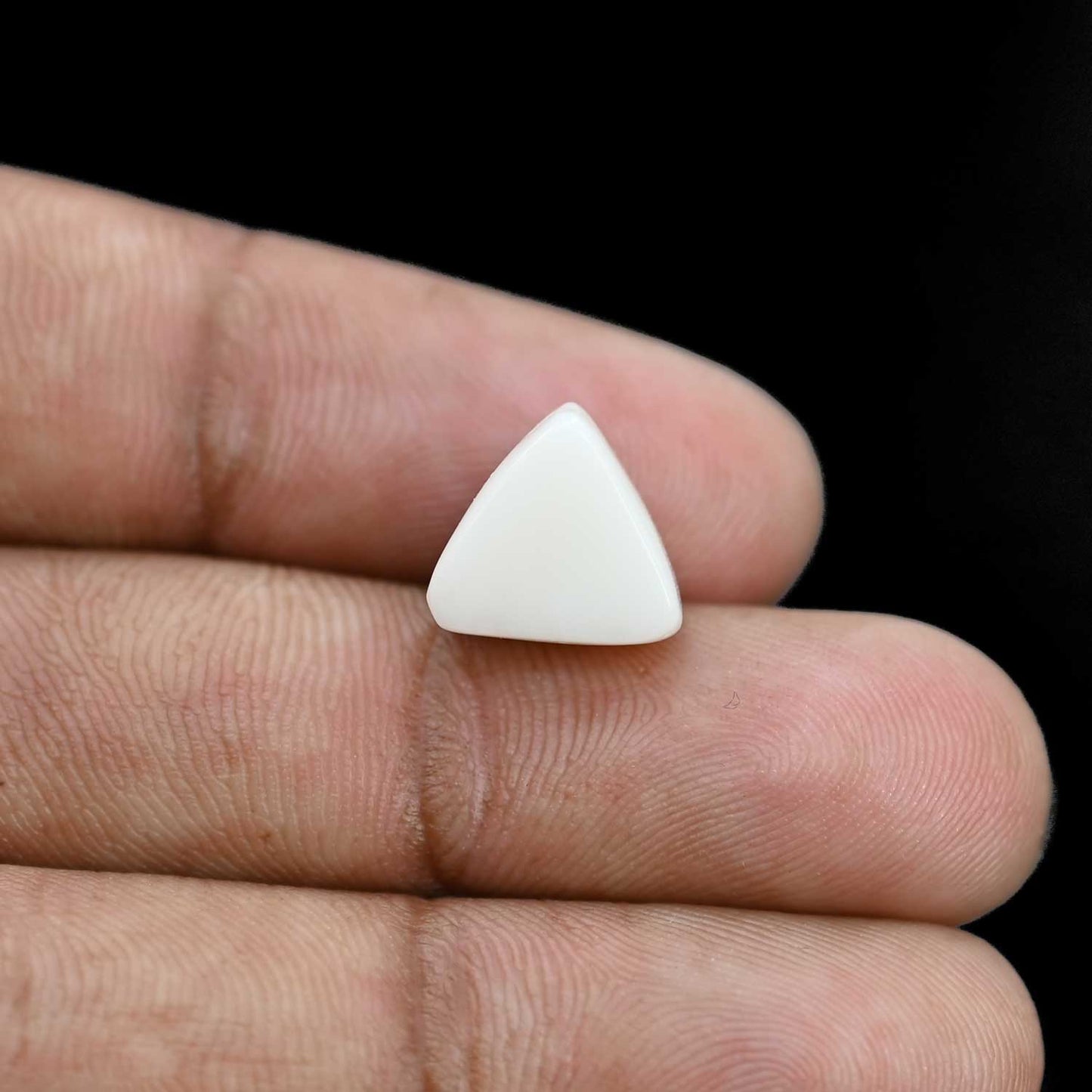 Japani White Coral 6.66 Carat