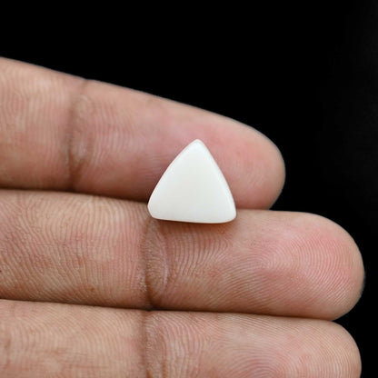 Japani White Coral 6.66 Carat