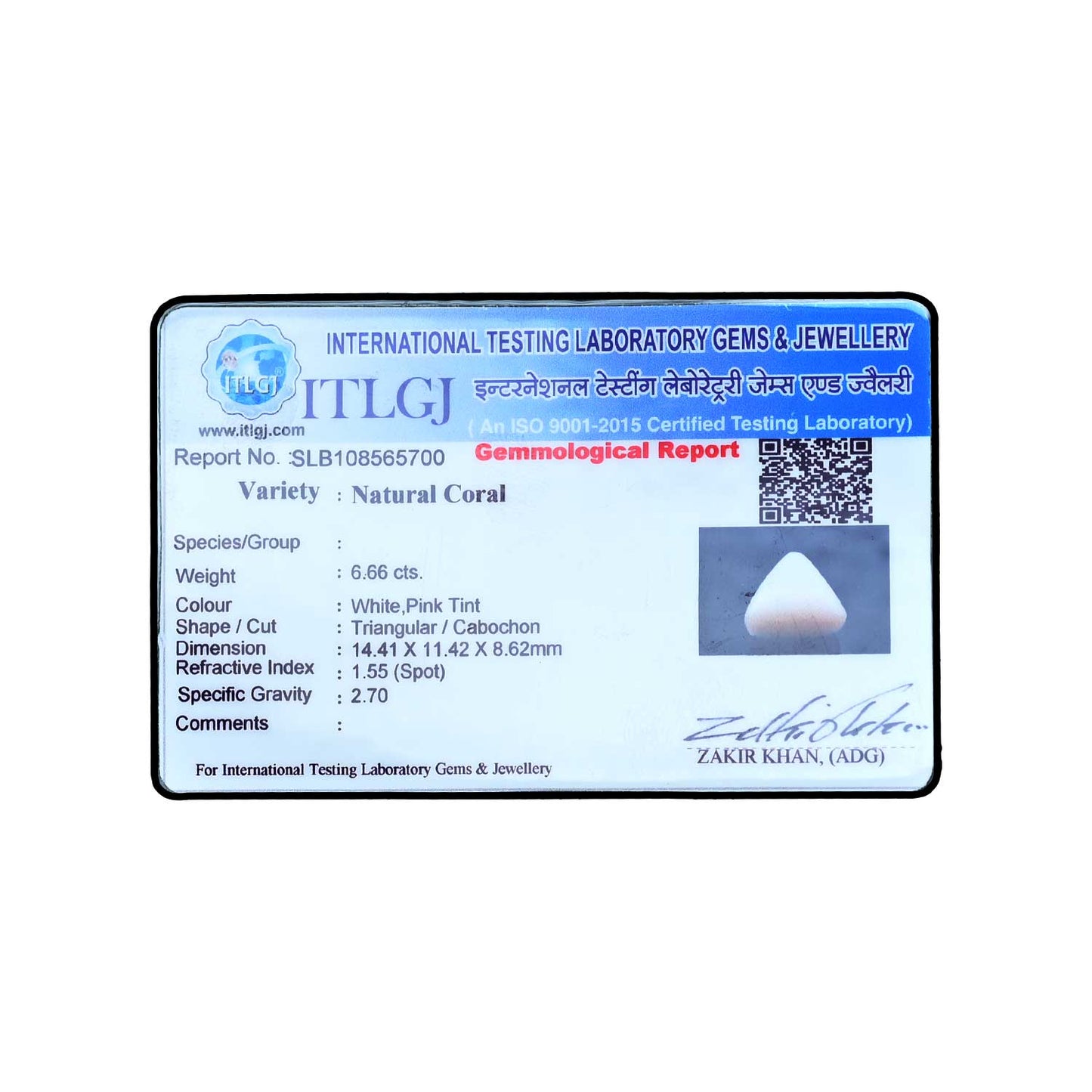 Japani White Coral 6.66 Carat