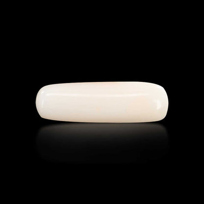 Japani White Coral 6.23 Carat