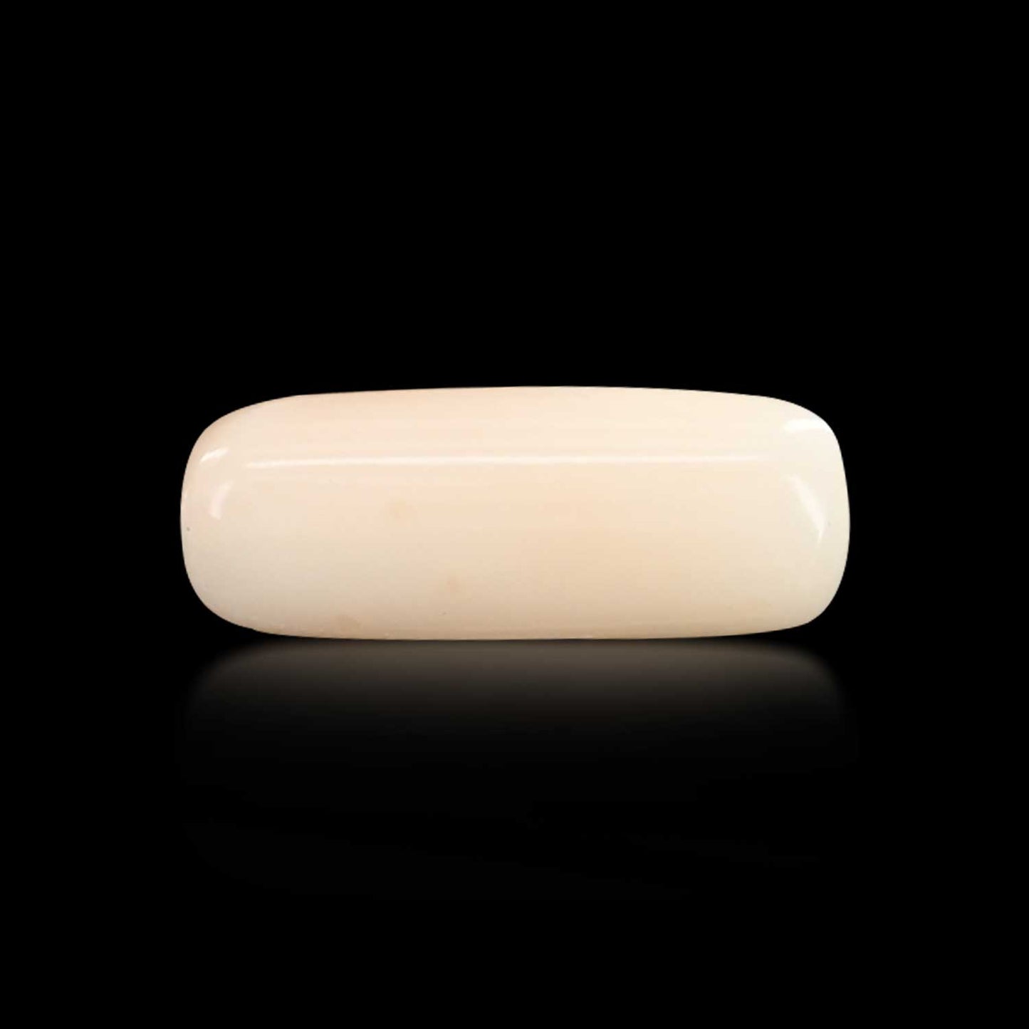 Japani White Coral 6.98 Carat