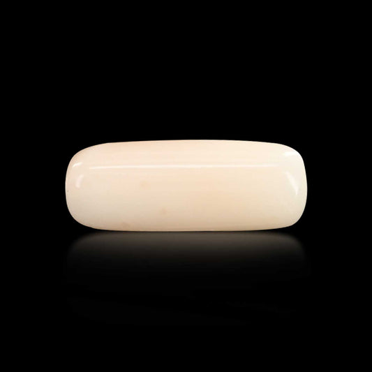 Japani White Coral 6.98 Carat