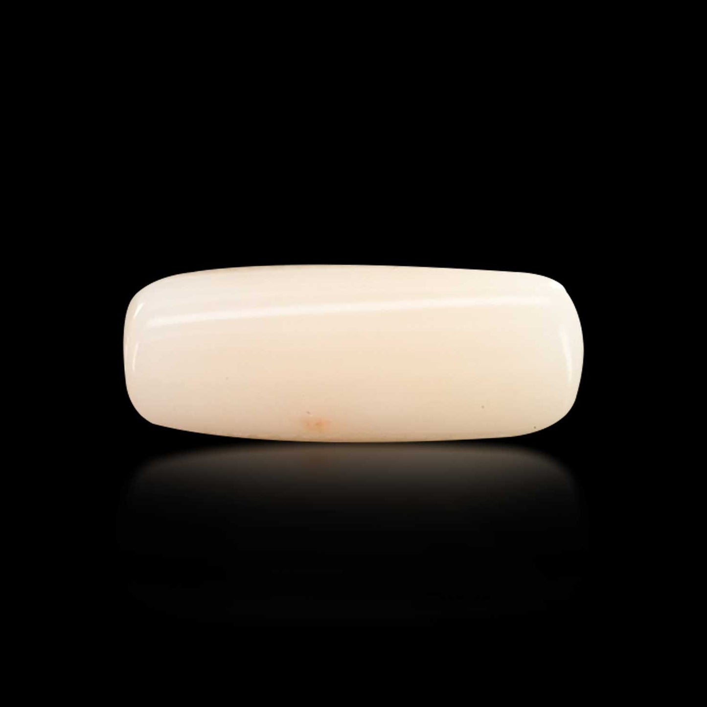 Japani White Coral 6.98 Carat