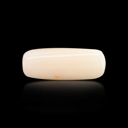 Japani White Coral 6.98 Carat