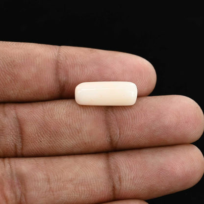 Japani White Coral 6.98 Carat
