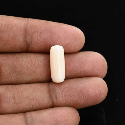 Japani White Coral 6.98 Carat